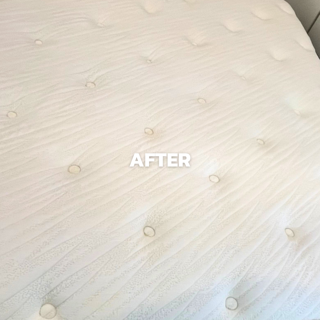 Bed01_After